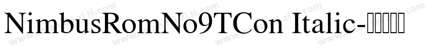 NimbusRomNo9TCon Italic字体转换